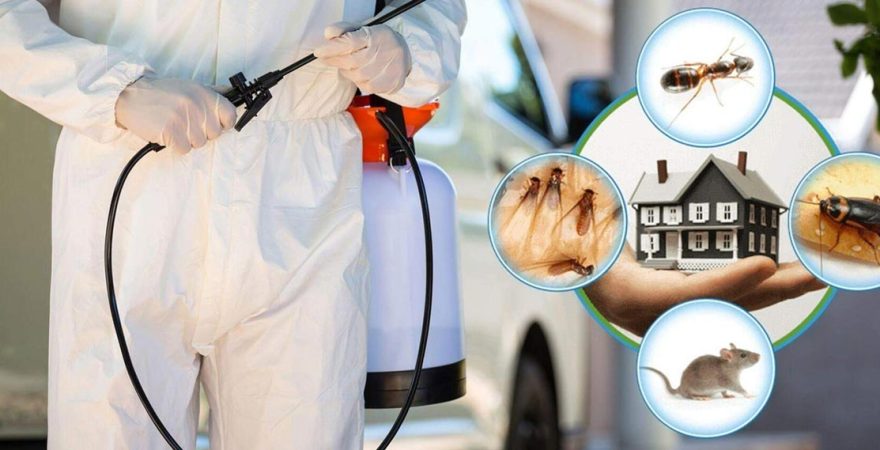 Gömeç Böcek İlaçlama