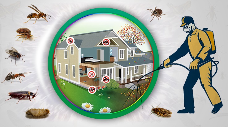 Gömeç Böcek İlaçlama