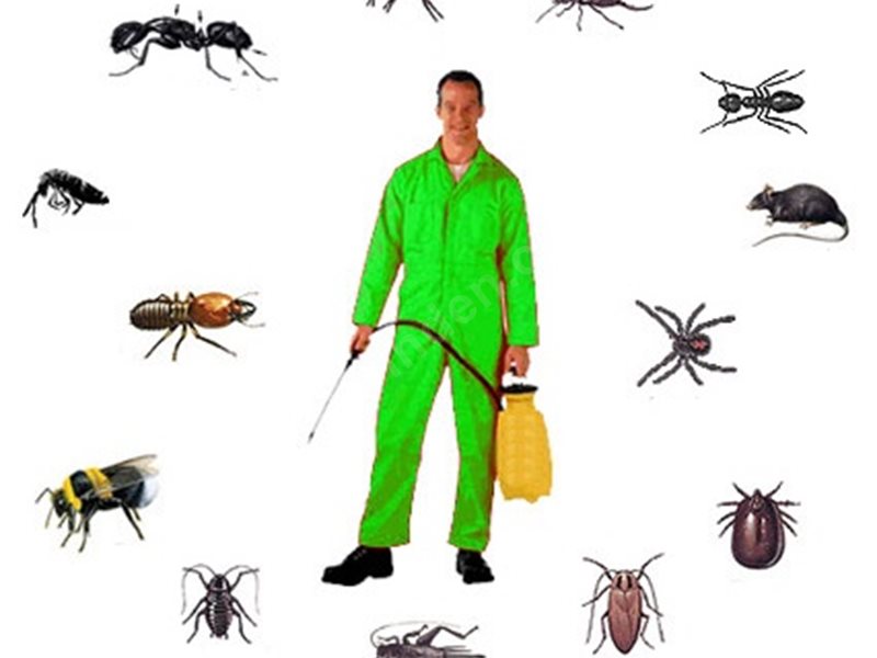 Gömeç Böcek İlaçlama